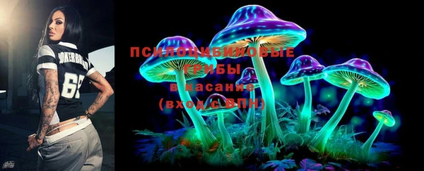 Альфа ПВП Коряжма
