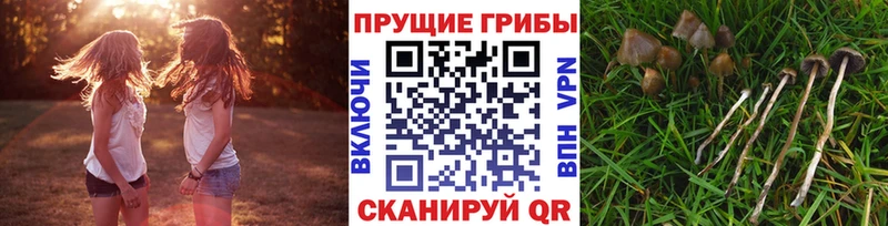 Галлюциногенные грибы ЛСД  omg зеркало  Ярославль 
