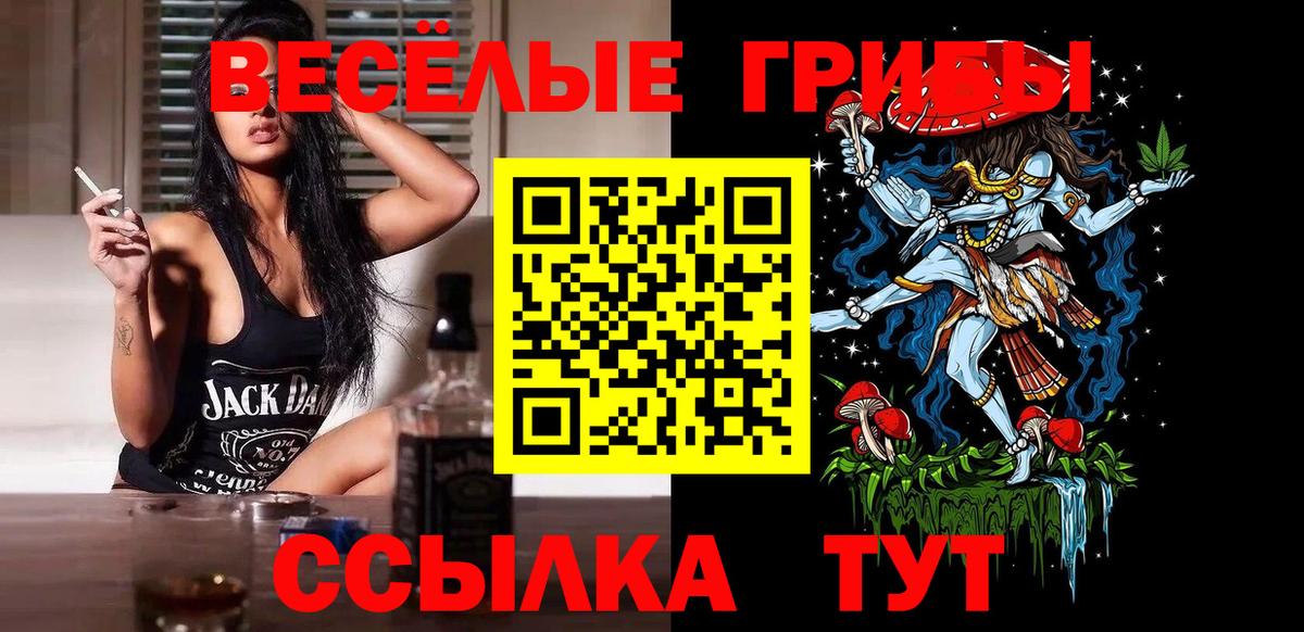 Псилоцибиновые грибы прущие грибы  Вход с VPN  Ярославль 