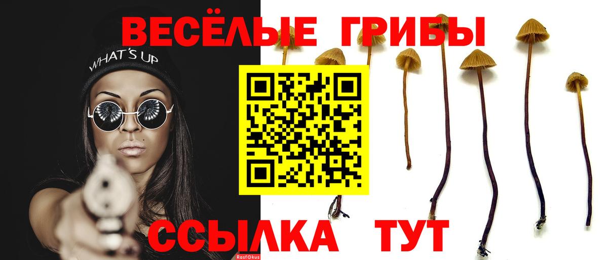 Псилоцибиновые грибы мицелий Ярославль