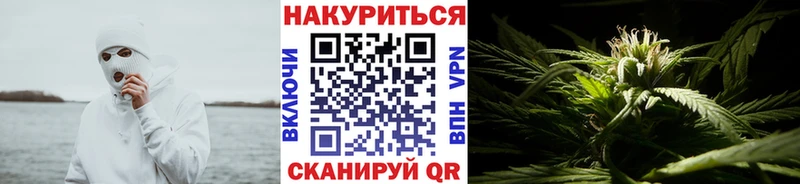 MEGA зеркало  Ярославль  Канабис OG Kush 